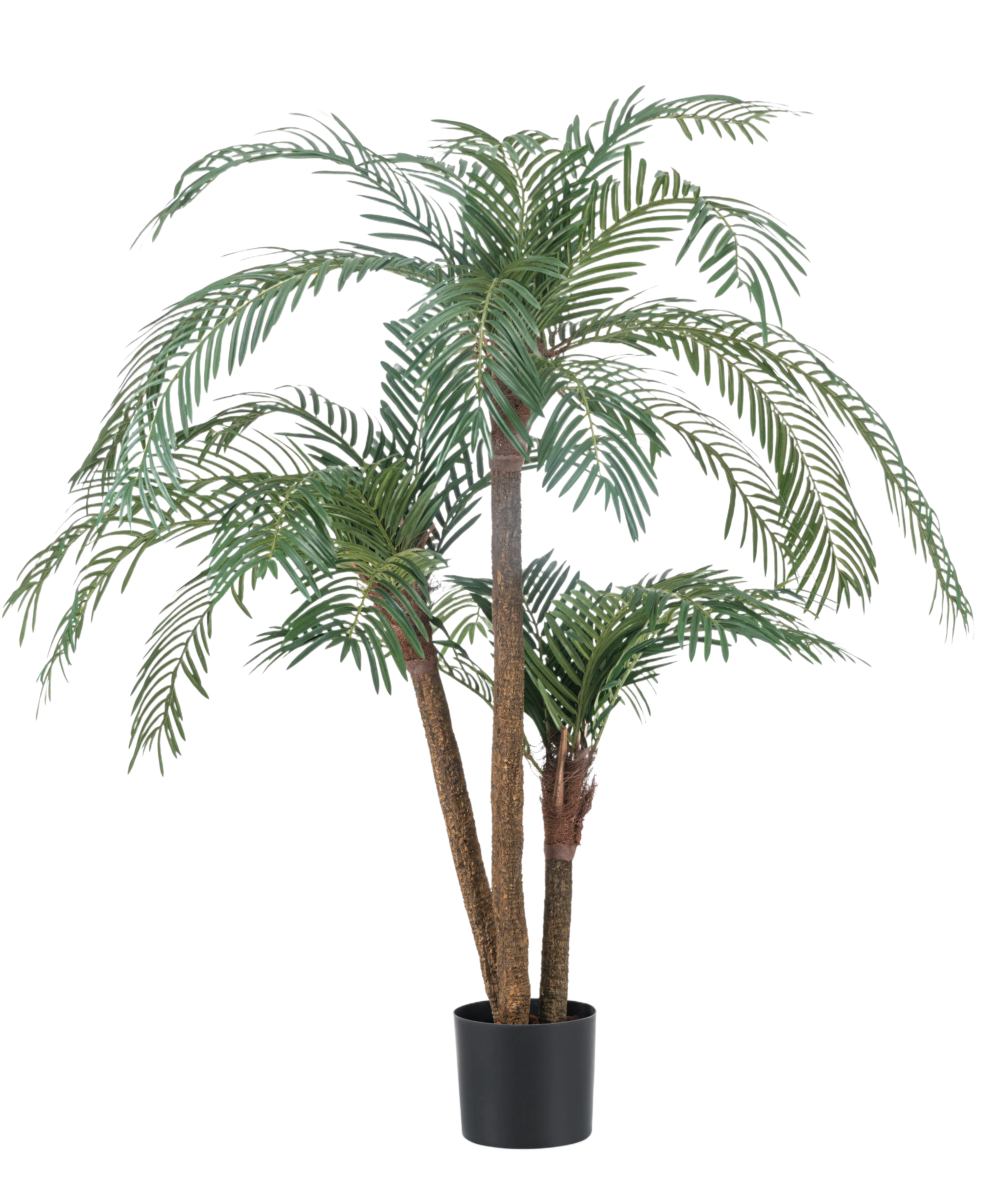 Miniatuur 1