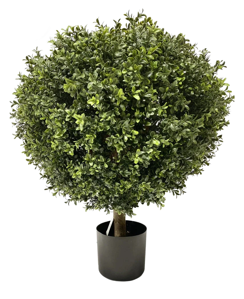 Miniatuur 1