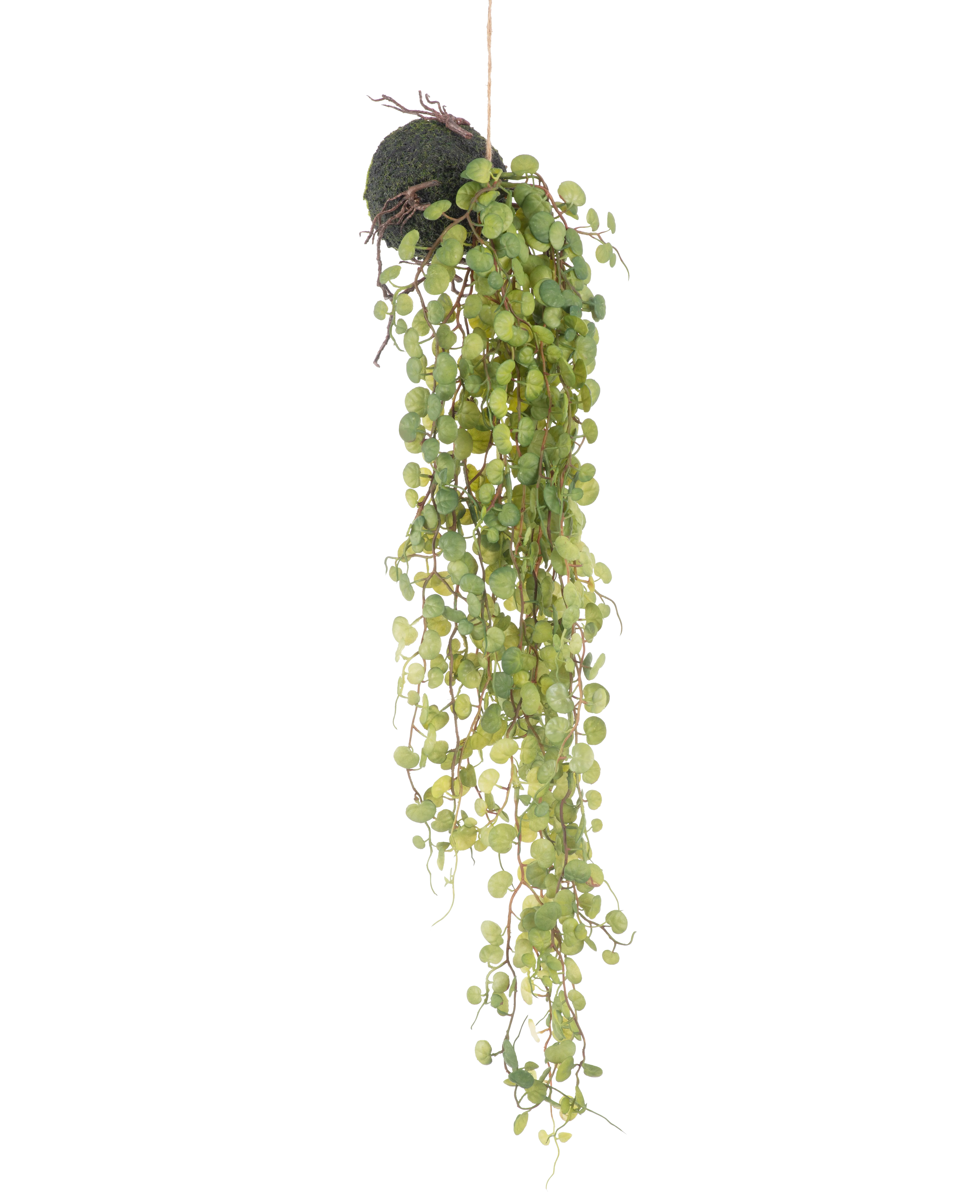 Miniatuur 1
