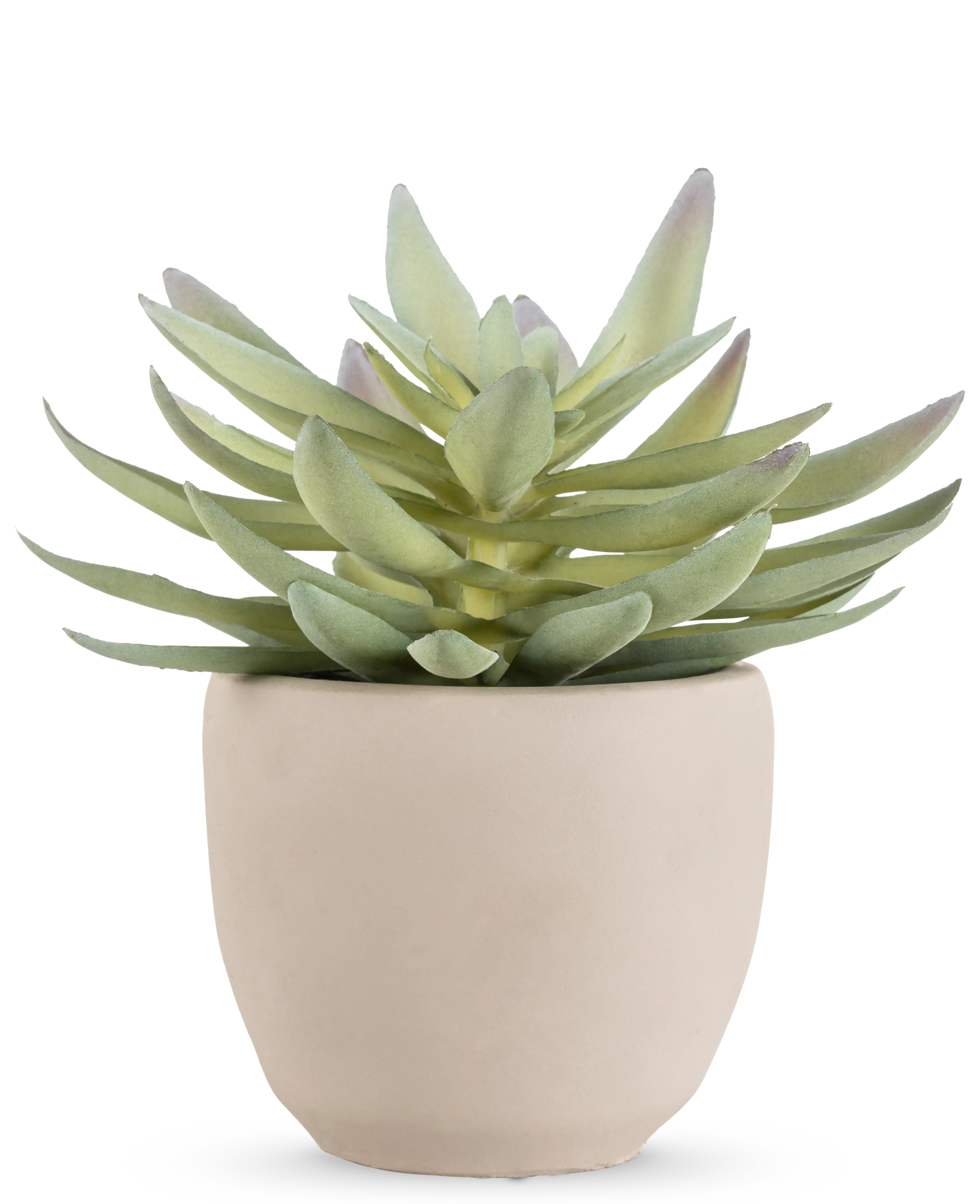 Miniatuur 1