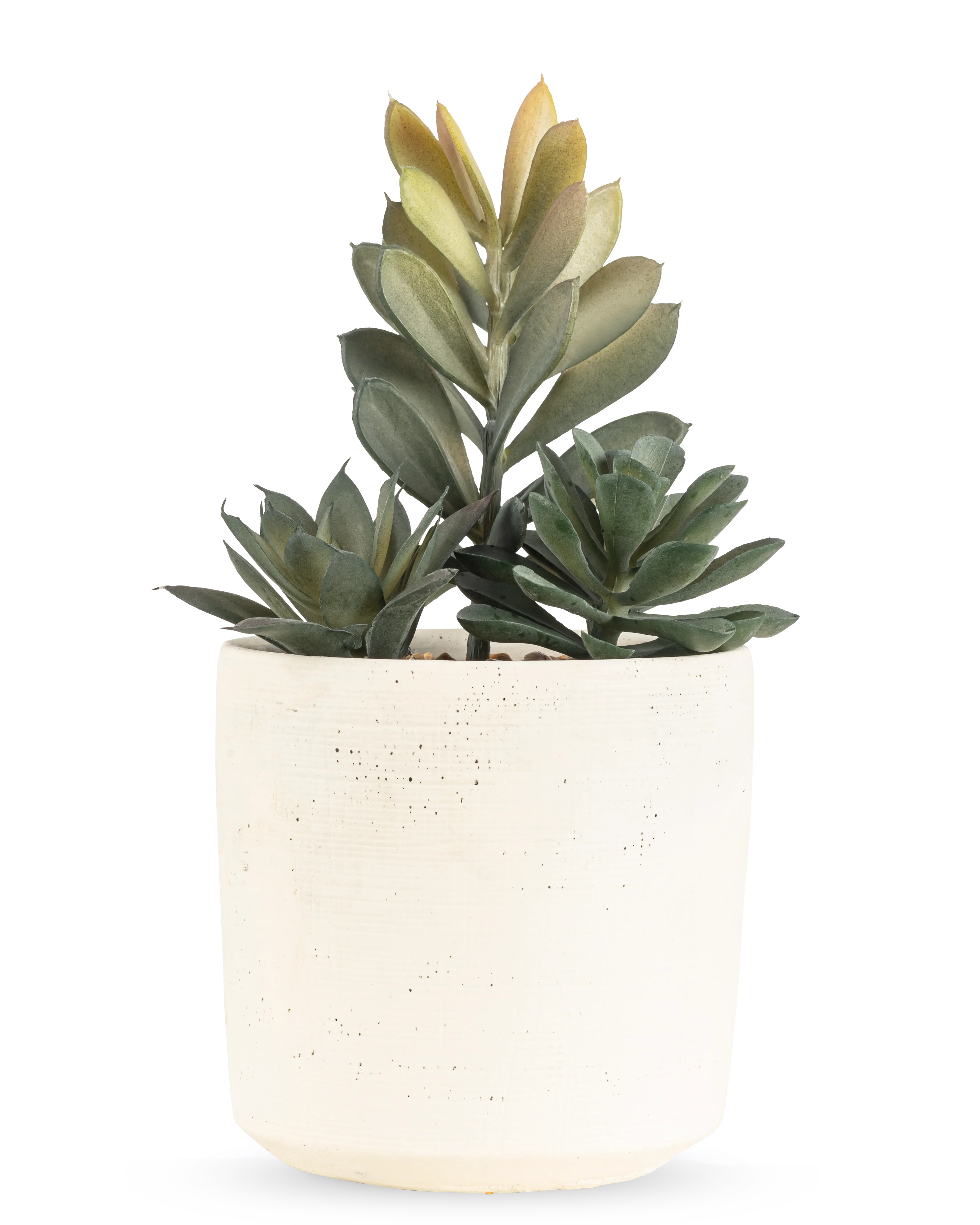 Miniatuur 1
