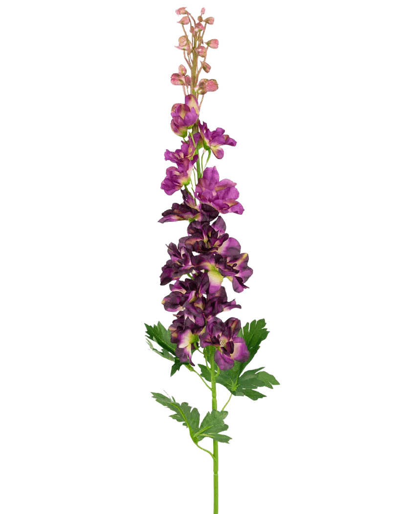 Miniatuur 1