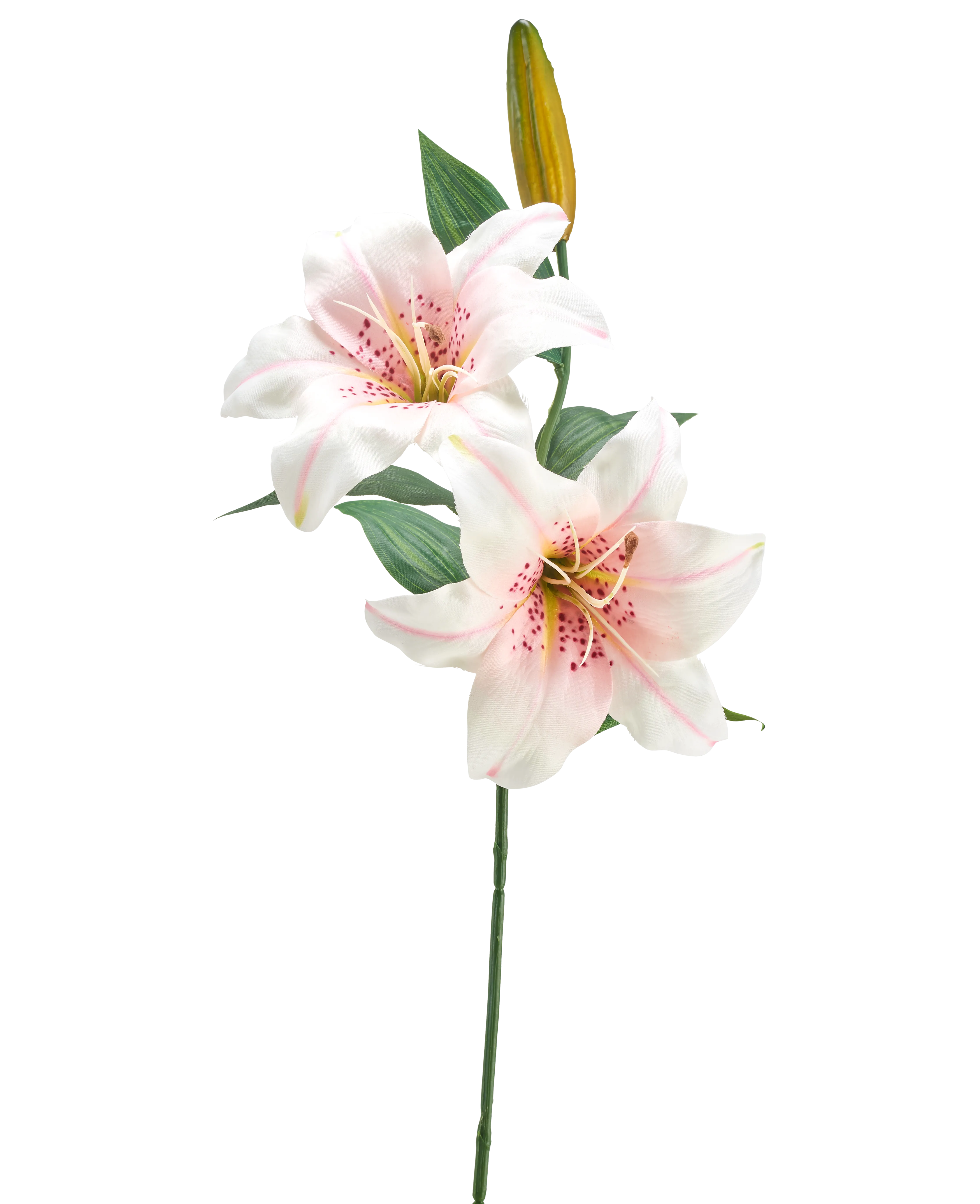 Miniatuur 1