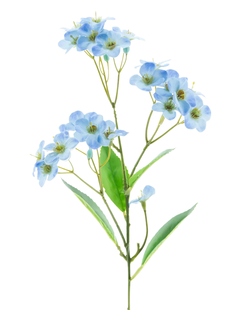 Miniatuur 1
