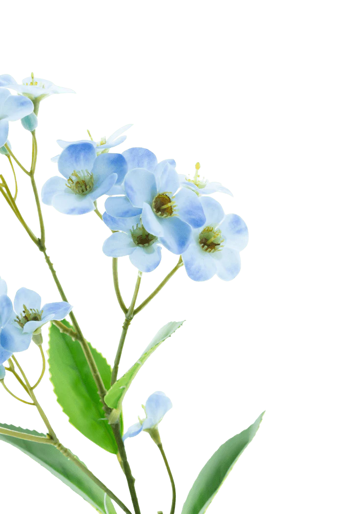 Miniatuur 2