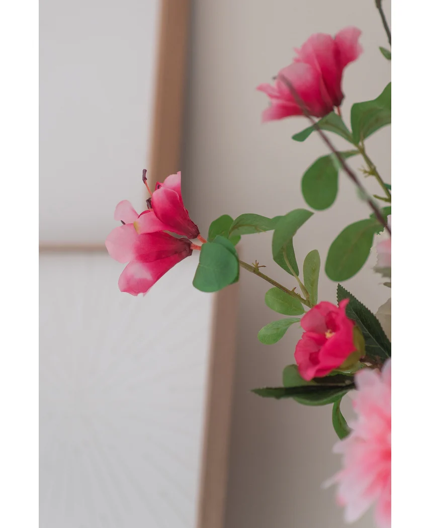 Miniatuur 2