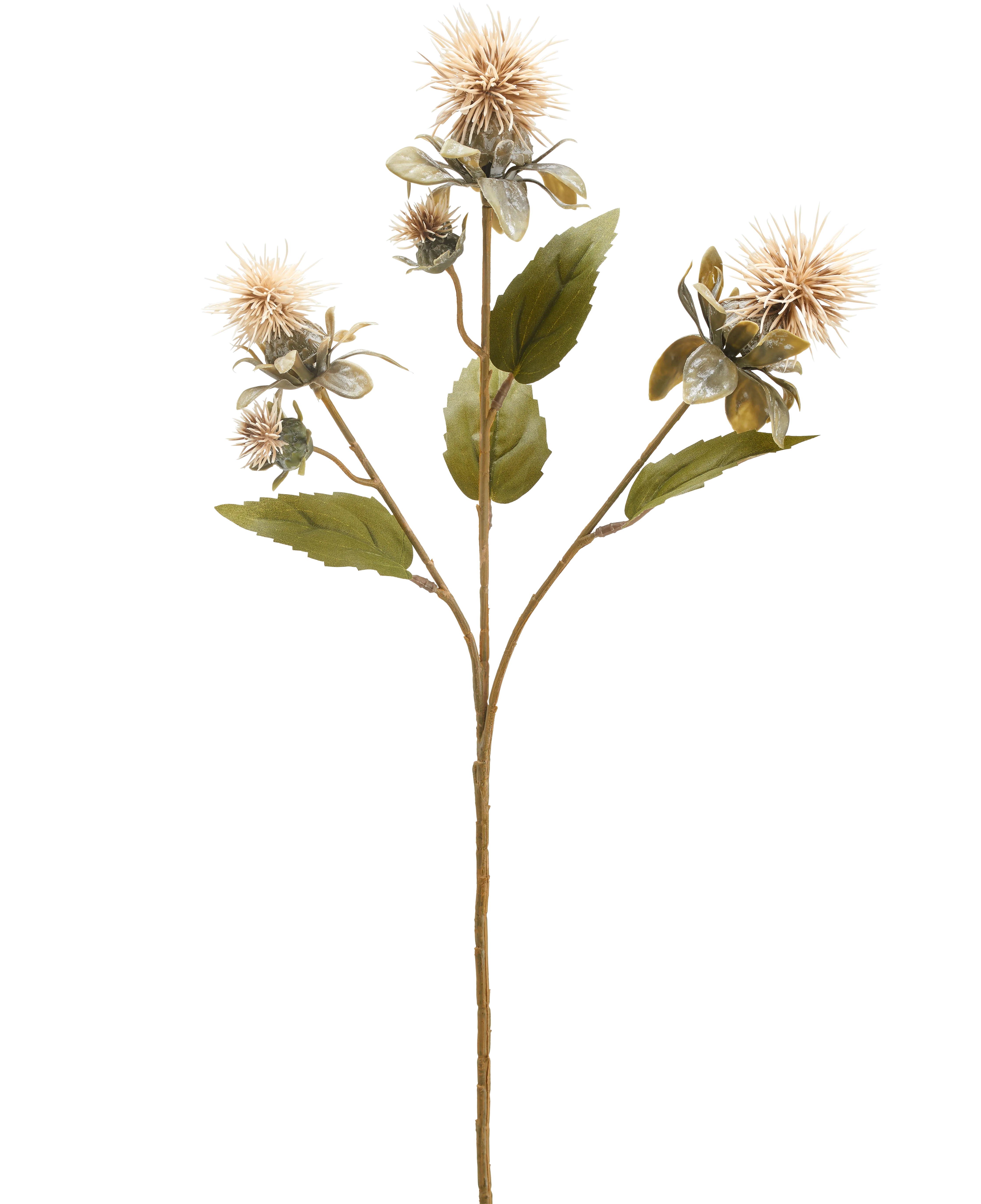 Miniatuur 1