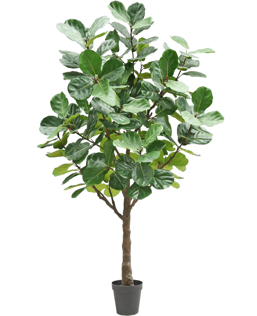 Miniatuur 1