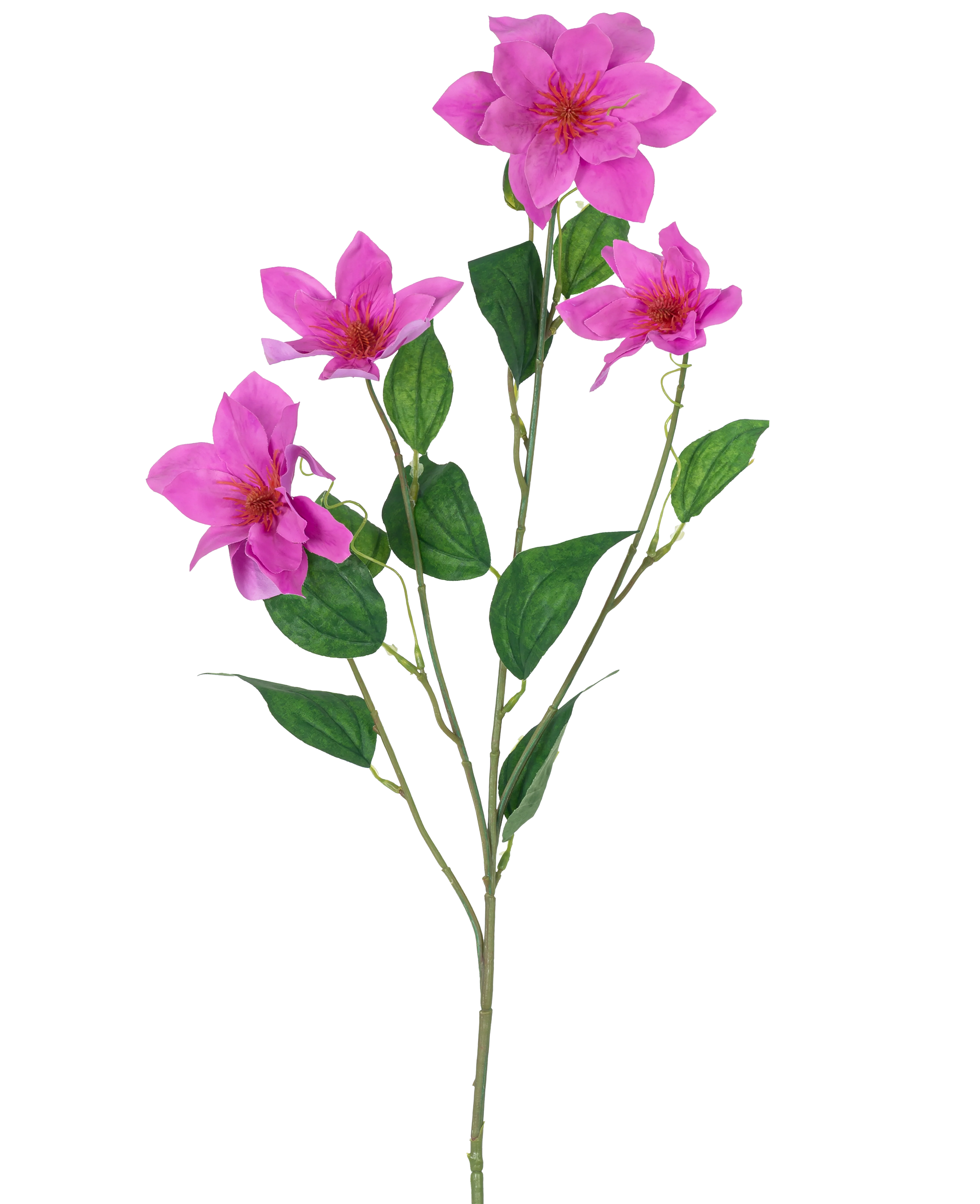 Miniatuur 1