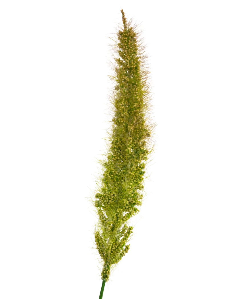Miniatuur 2