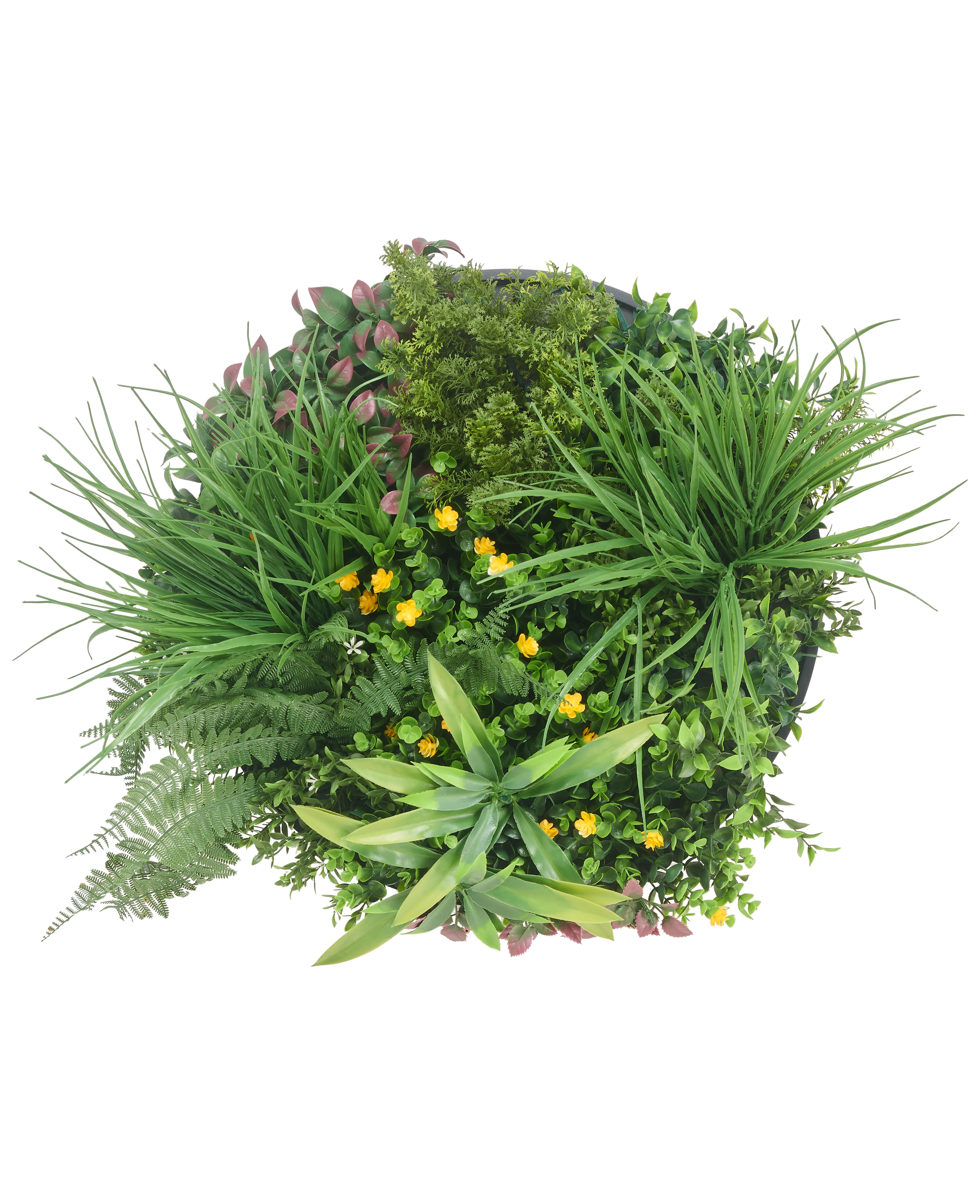 Miniatuur 1