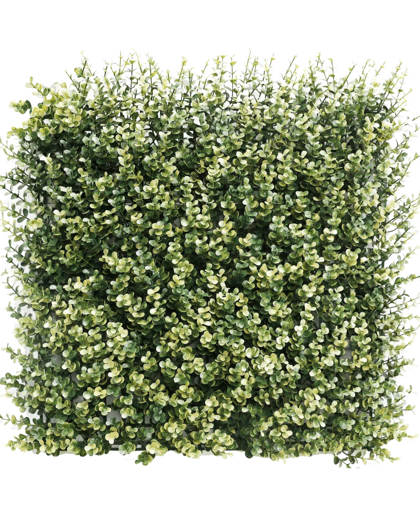 Miniatuur 1