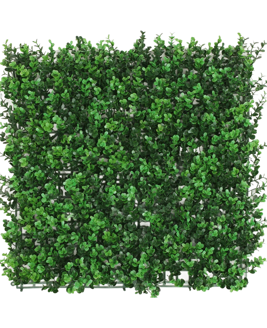 Miniatuur 1