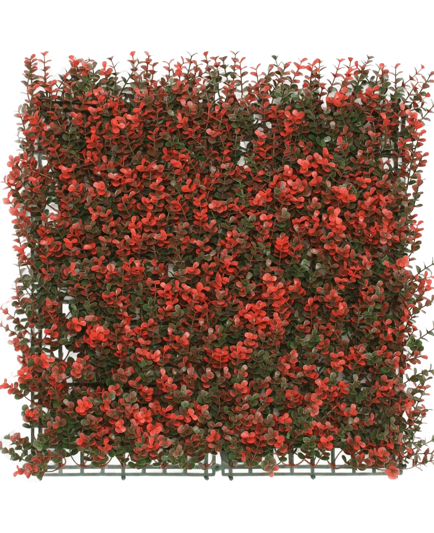 Miniatuur 1