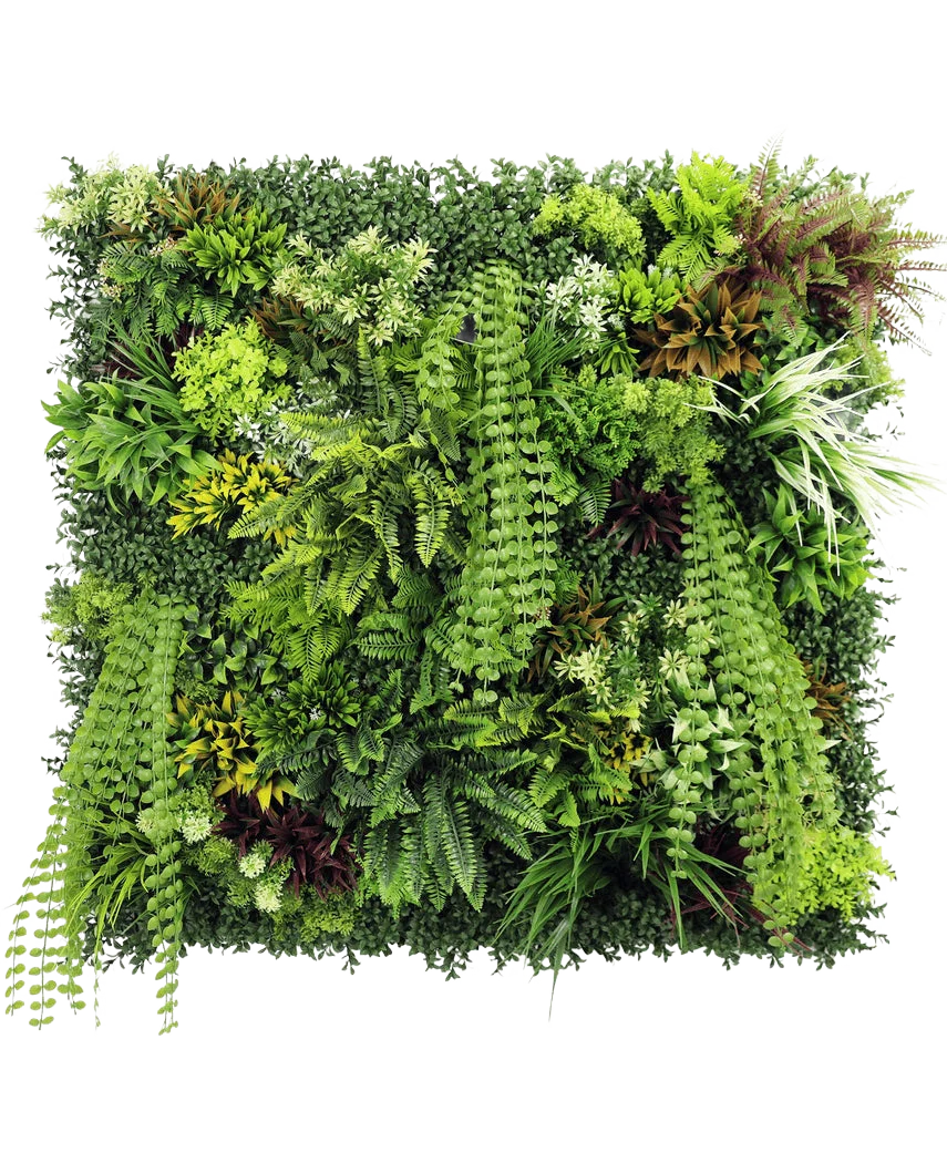 Miniatuur 1