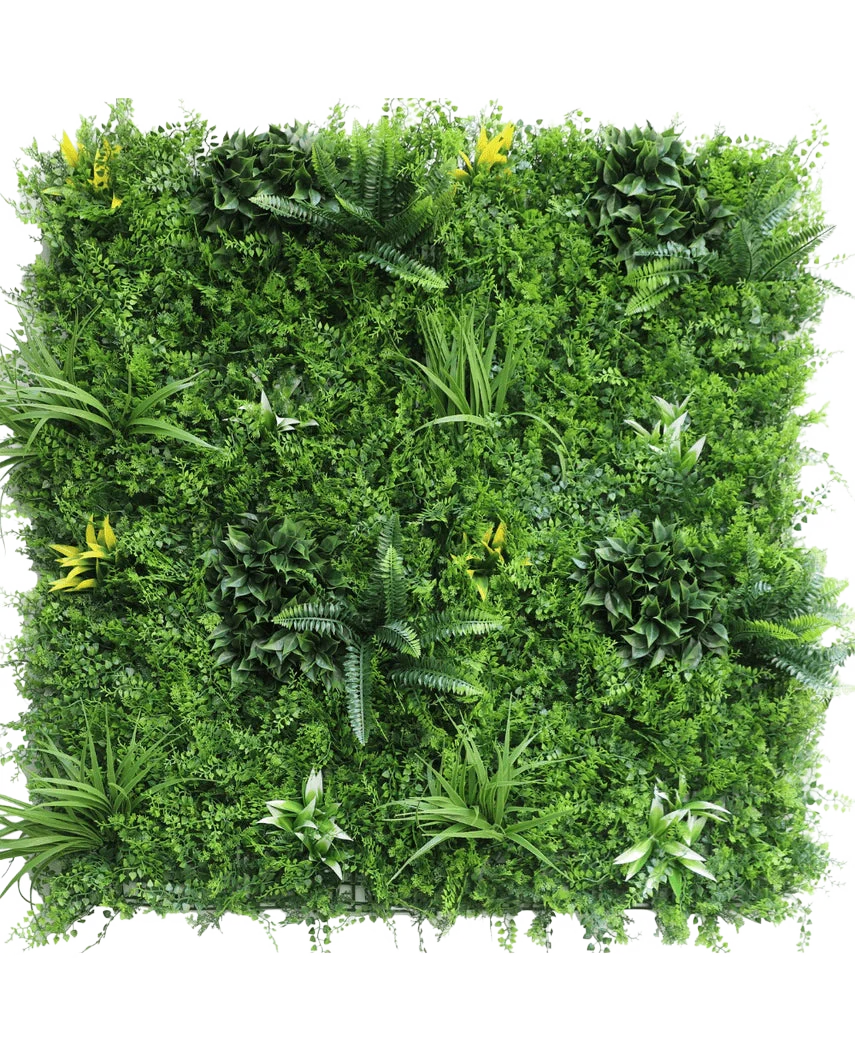Miniatuur 1