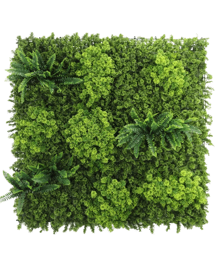 Miniatuur 1