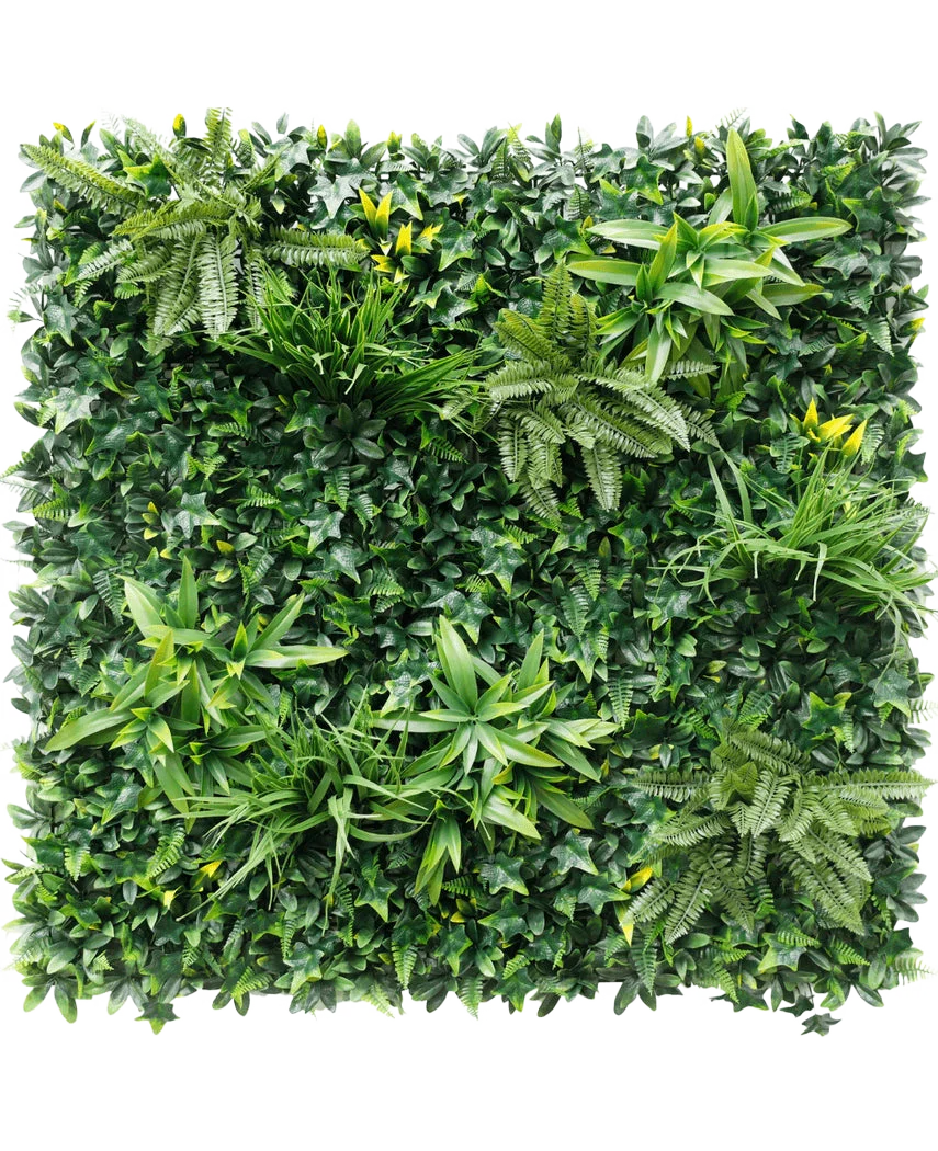 Miniatuur 1