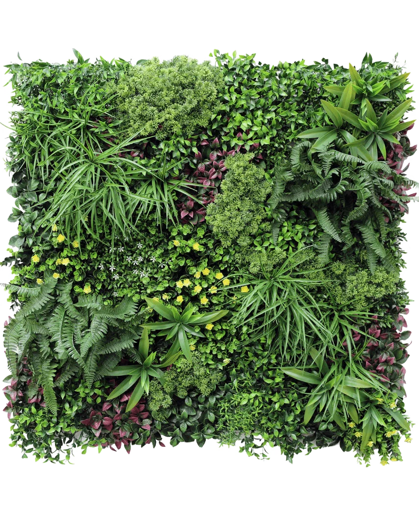 Miniatuur 1