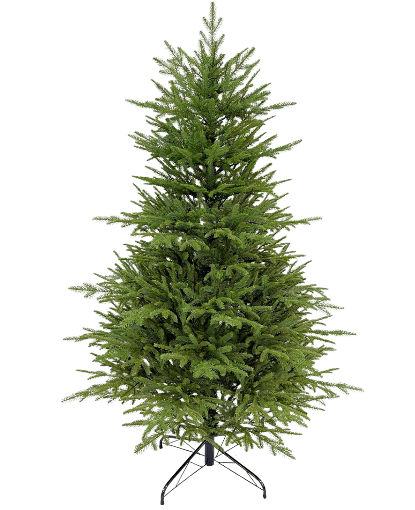 Miniatuur 1