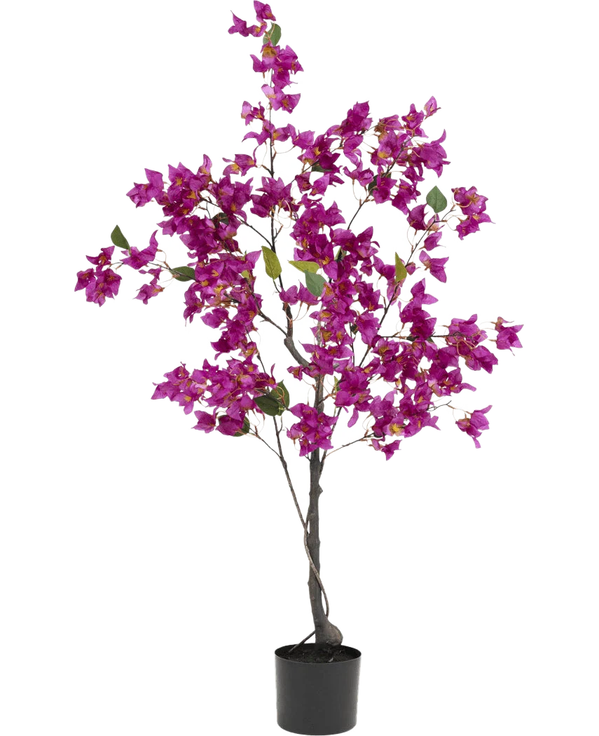 Miniatuur 1