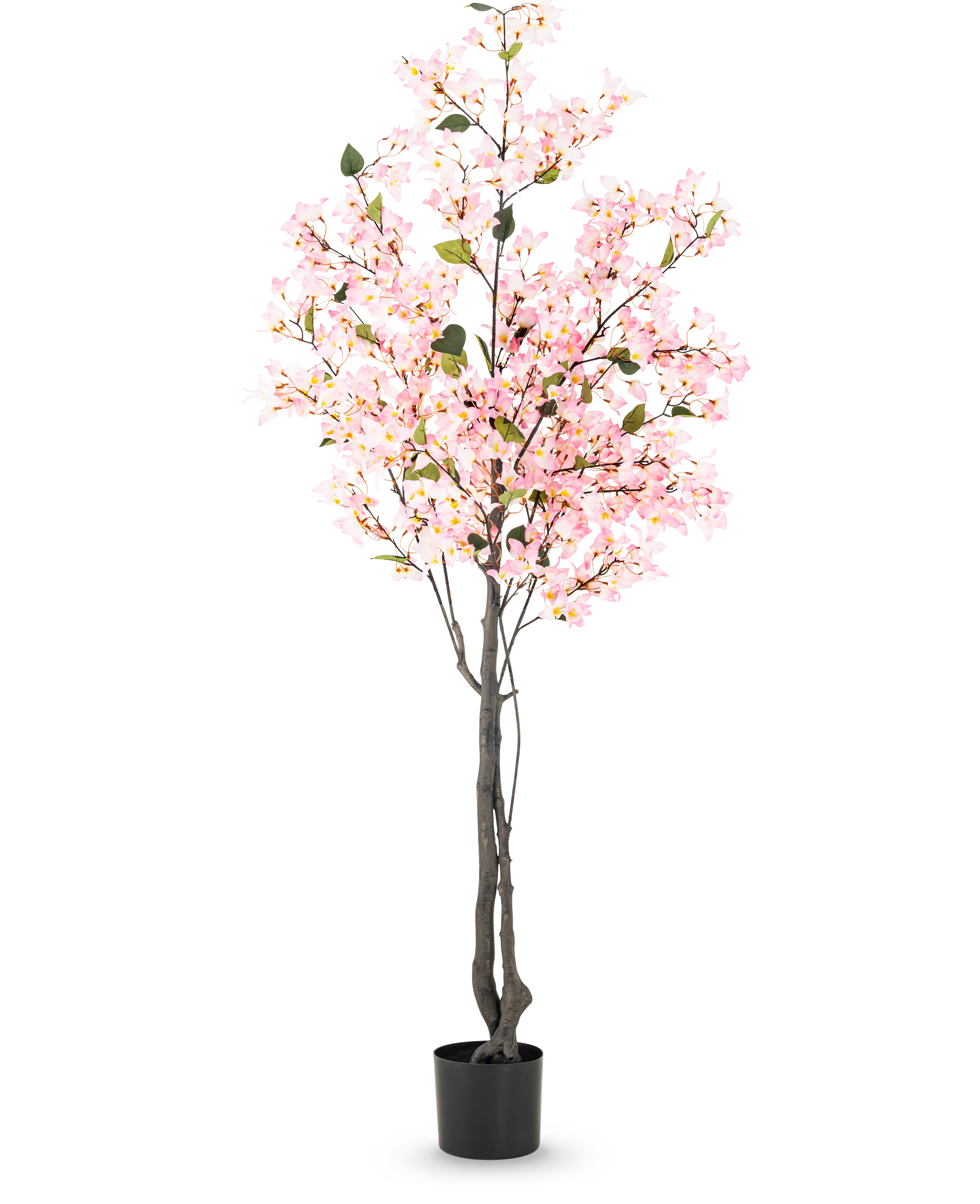 Miniatuur 1