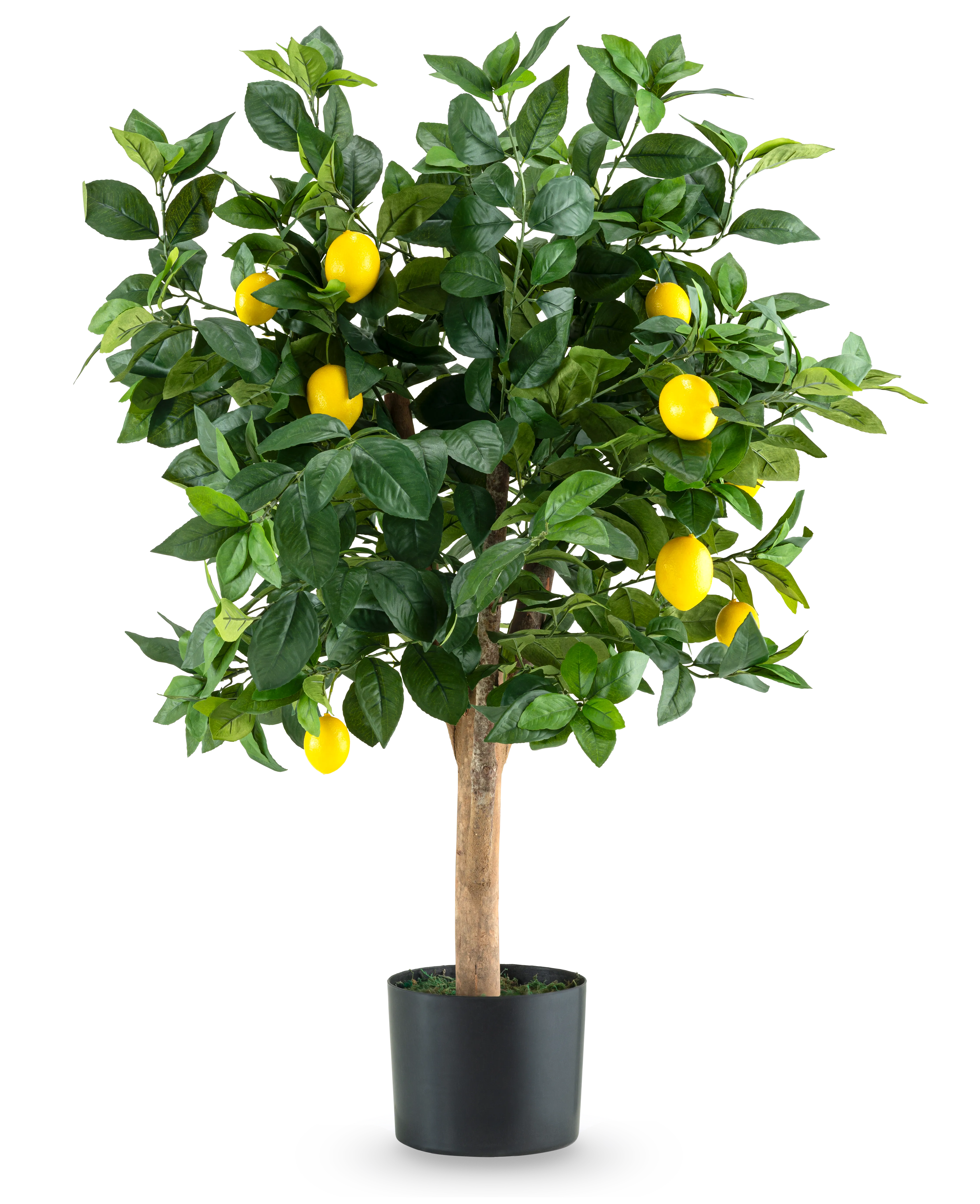 Miniatuur 1