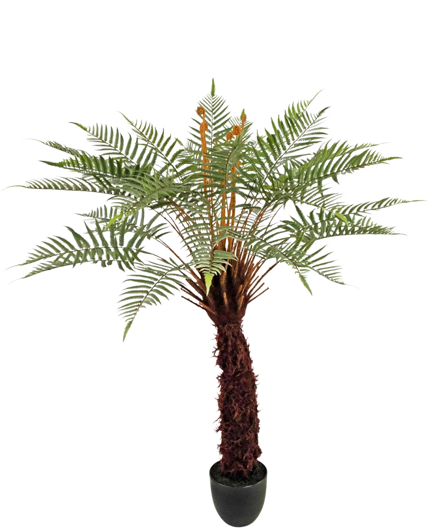 Miniatuur 1