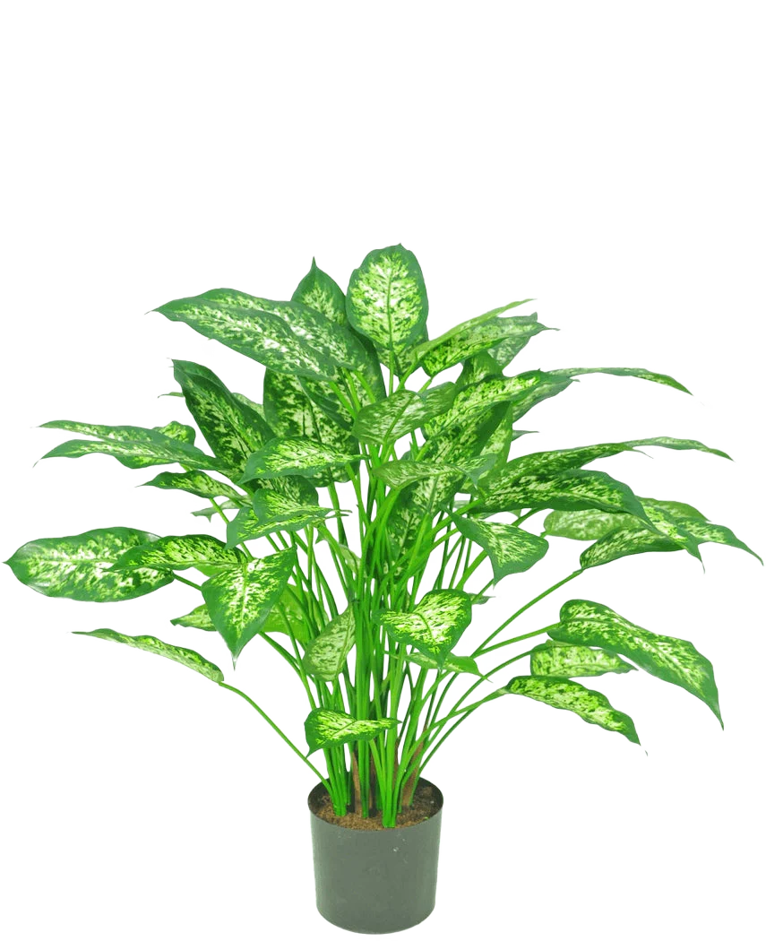 Miniatuur 1