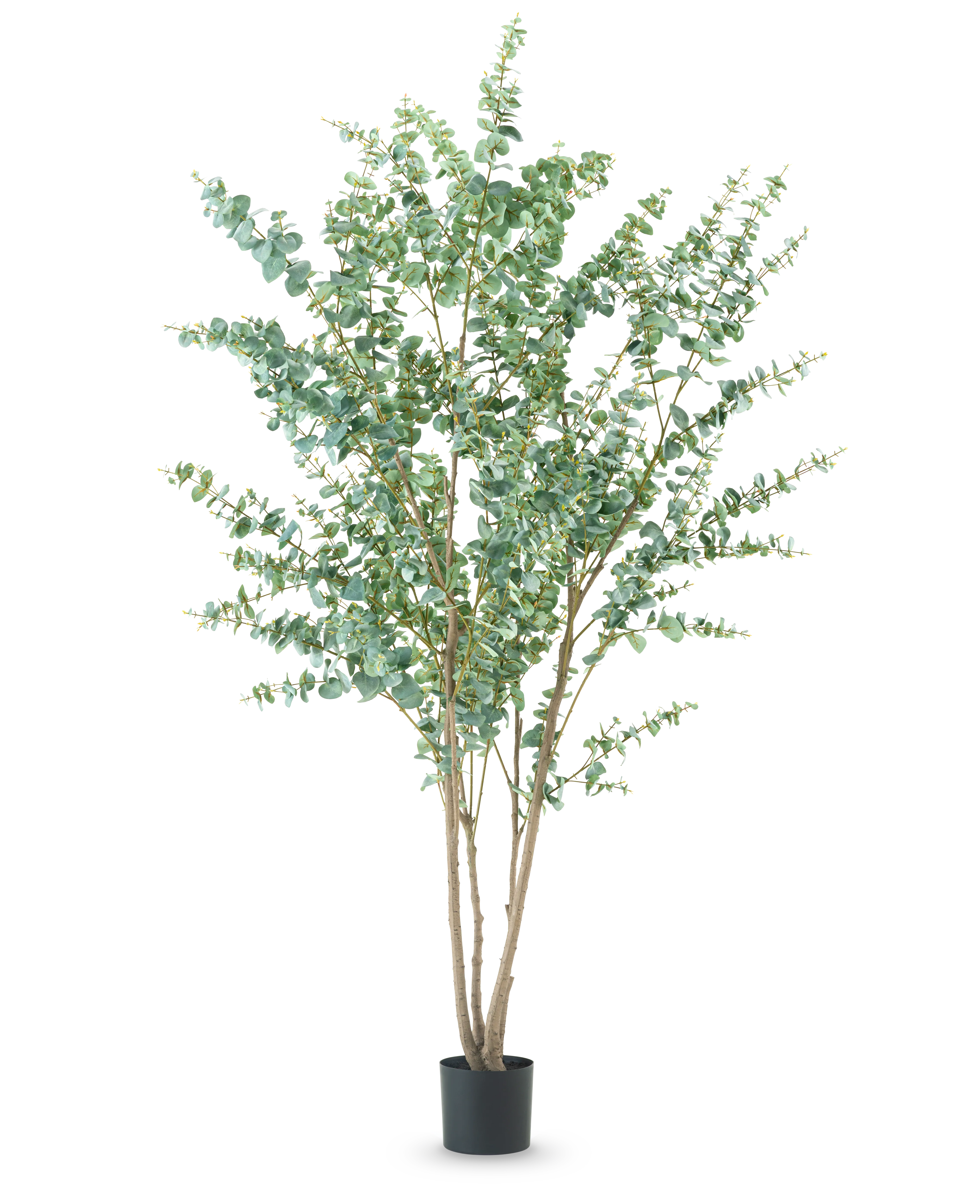 Miniatuur 1