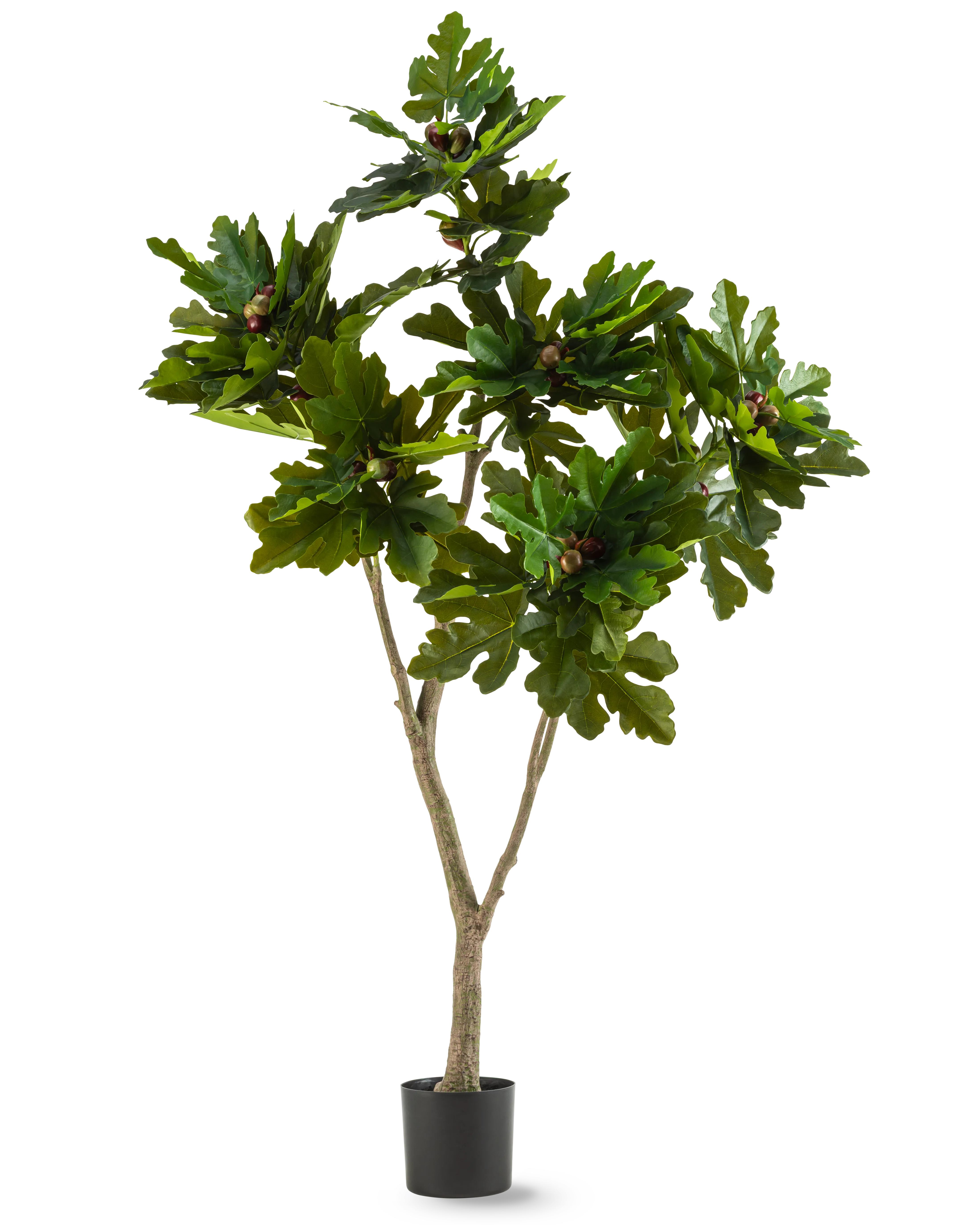 Miniatuur 1