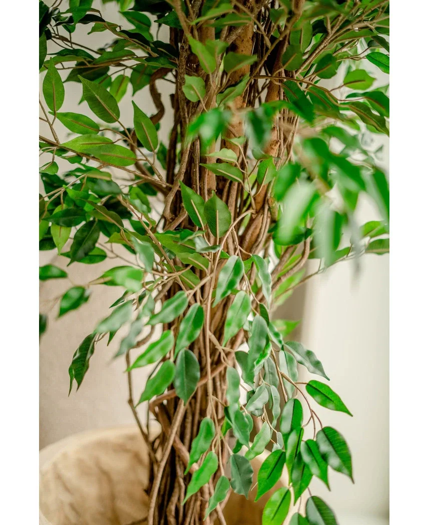 Miniatuur 2