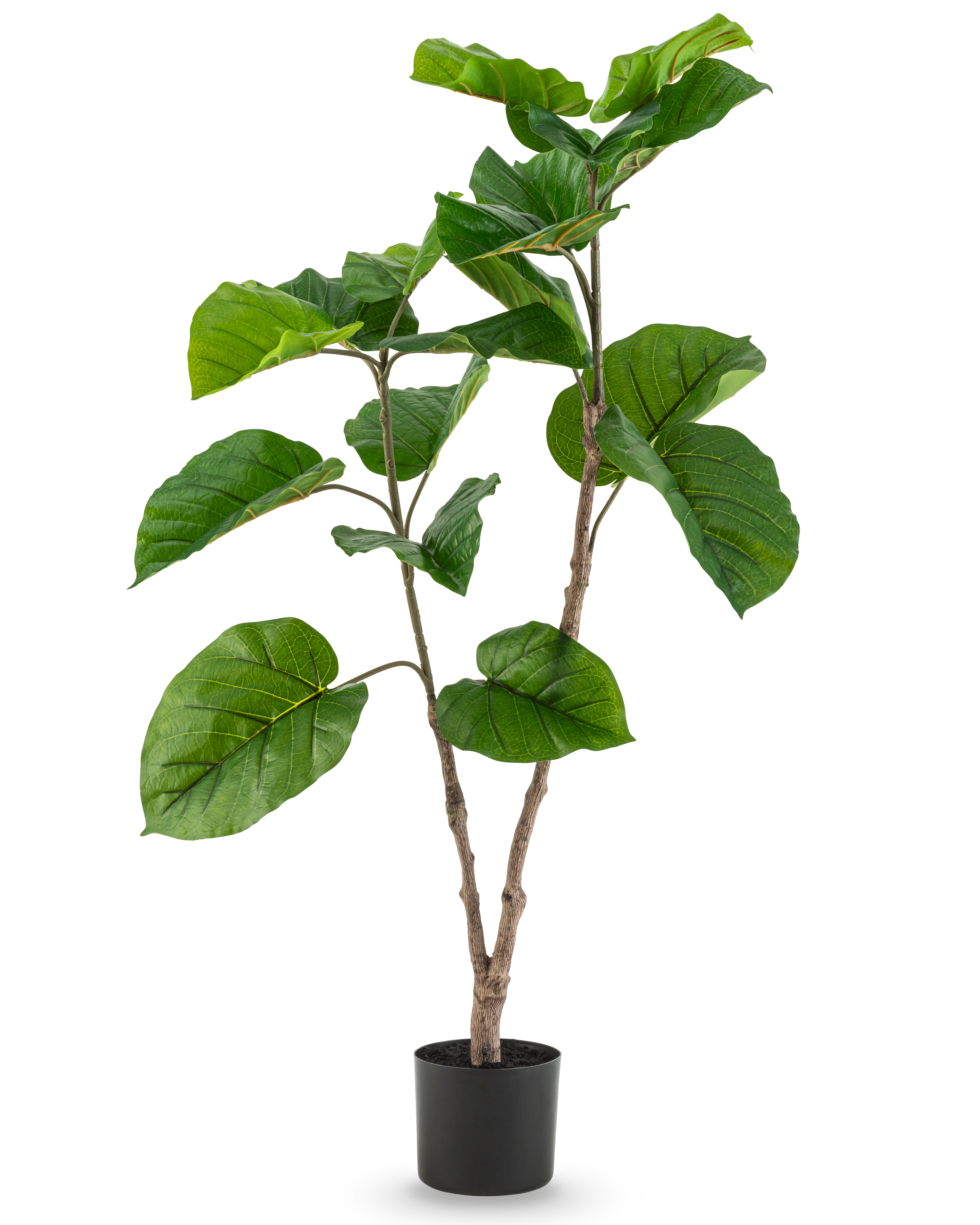 Miniatuur 1