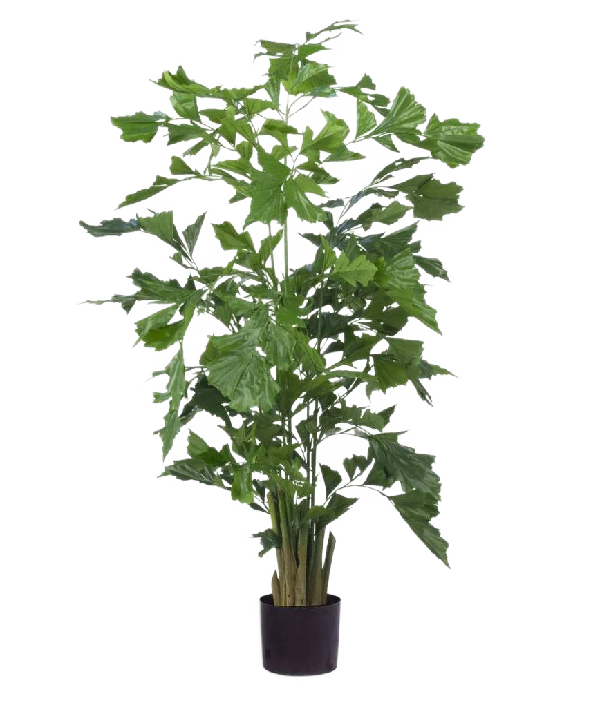 Miniatuur 1