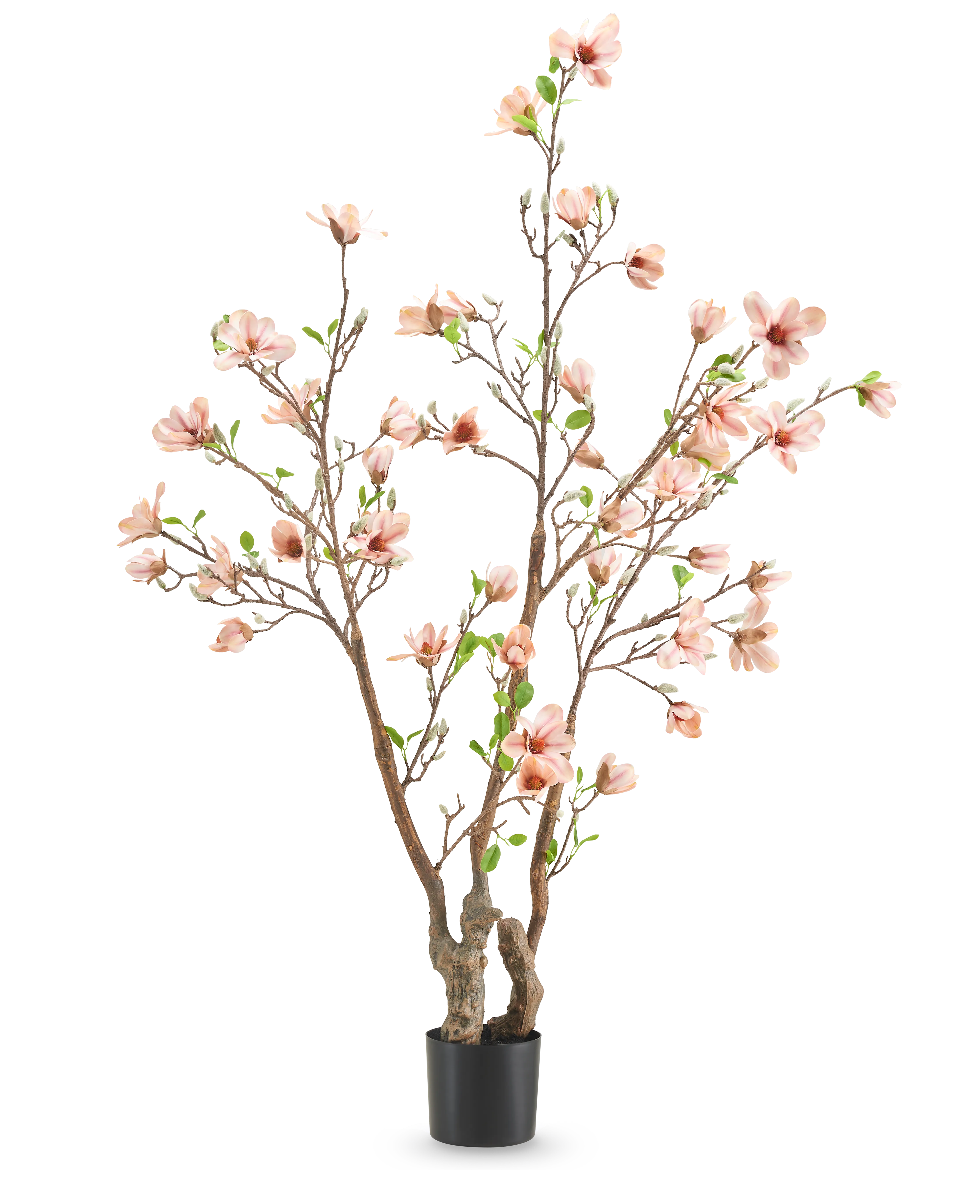Miniatuur 1