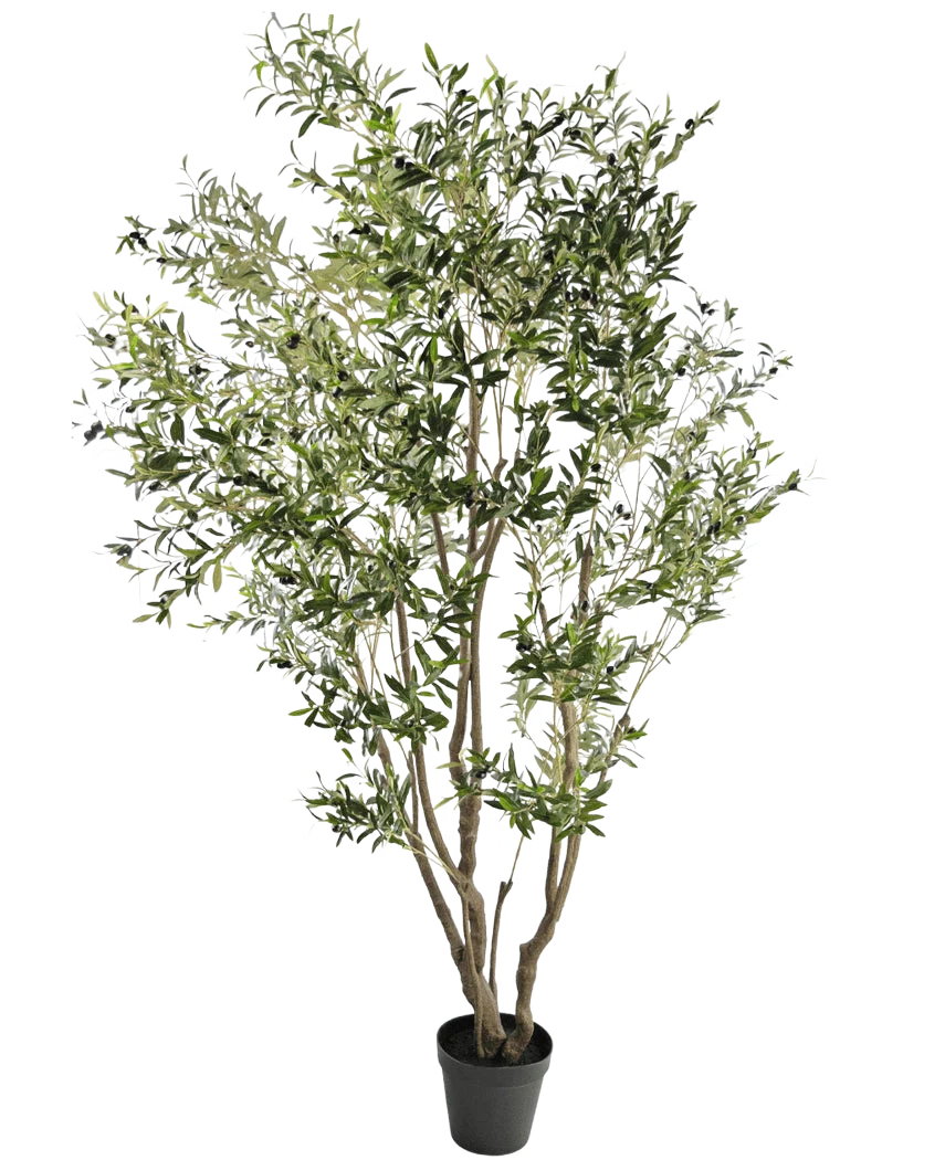 Miniatuur 1