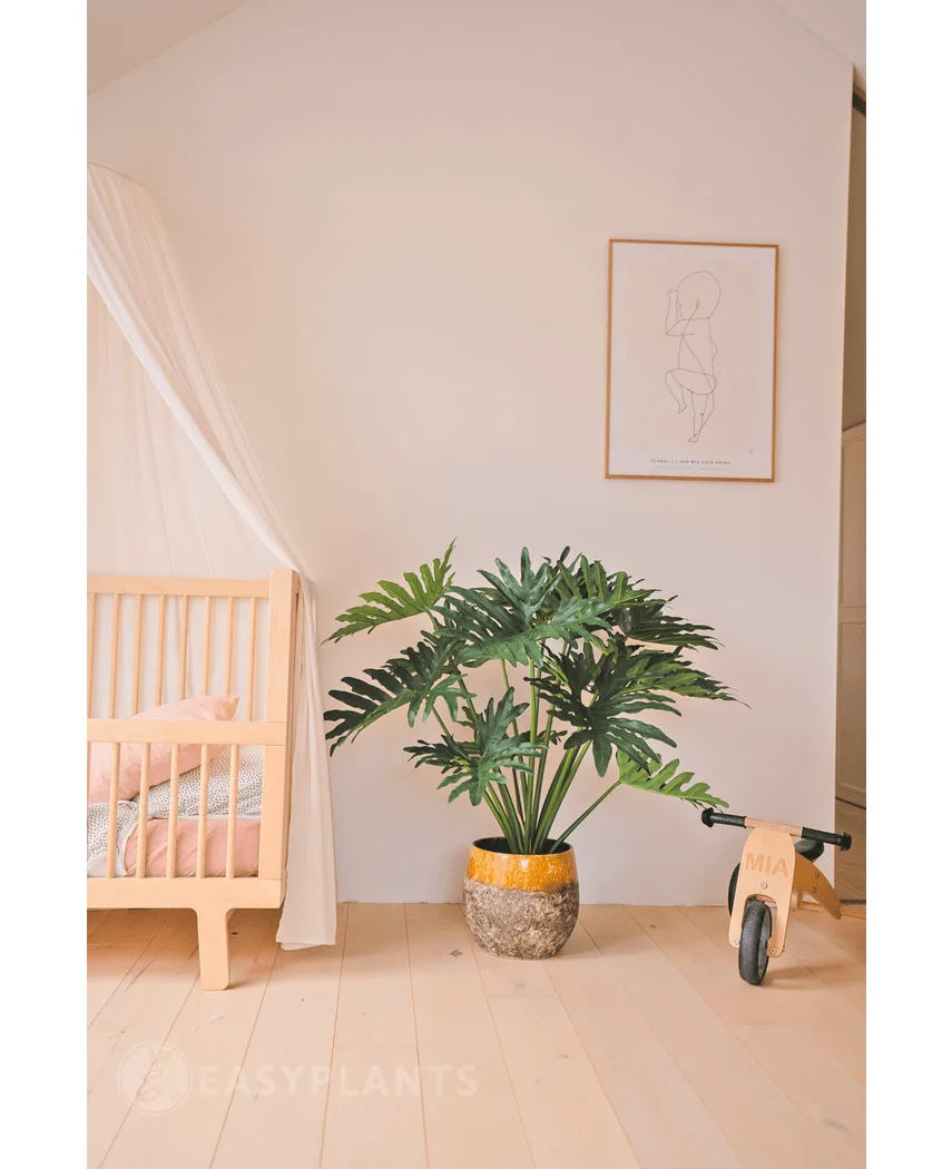Miniatuur 2