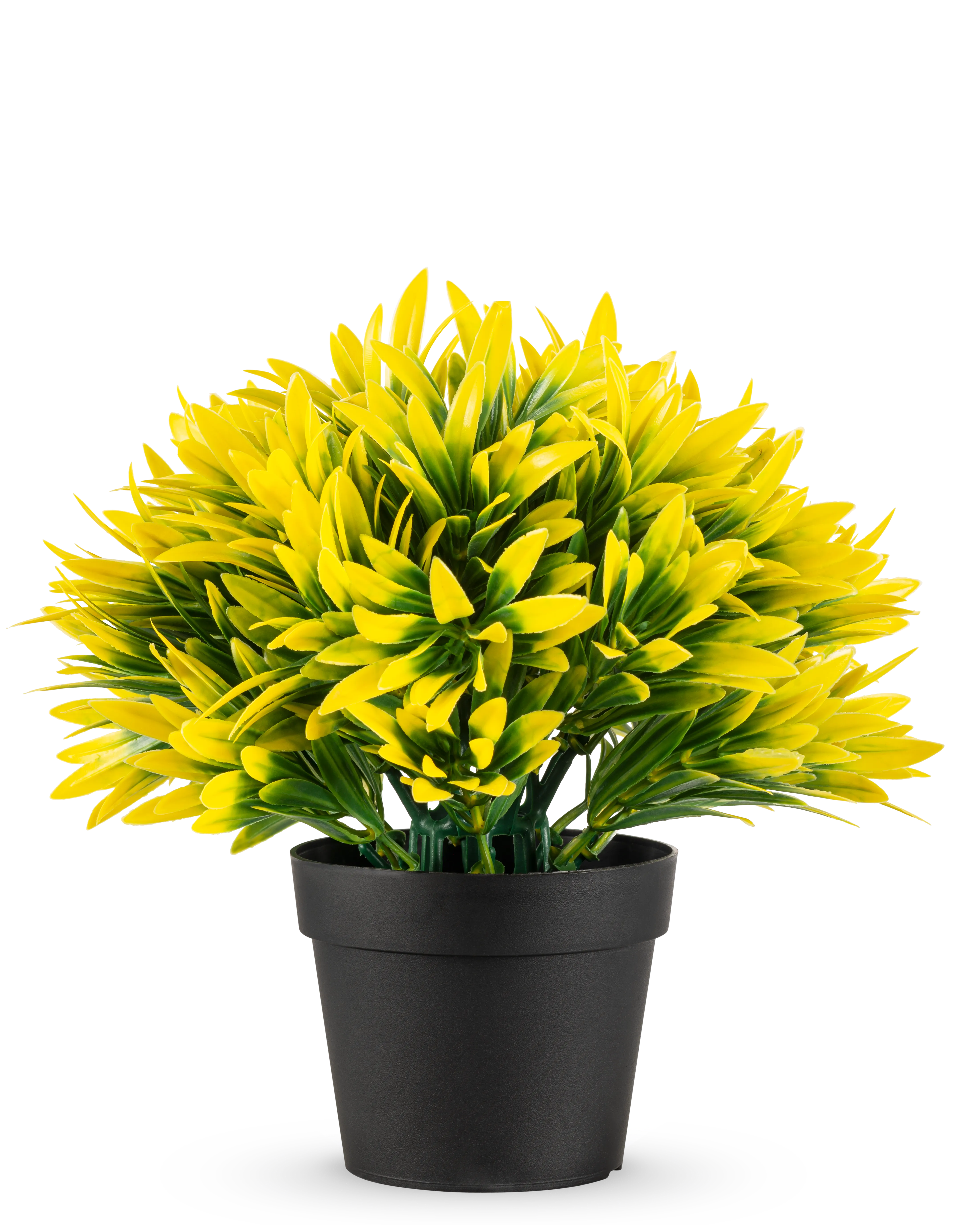 Miniatuur 1