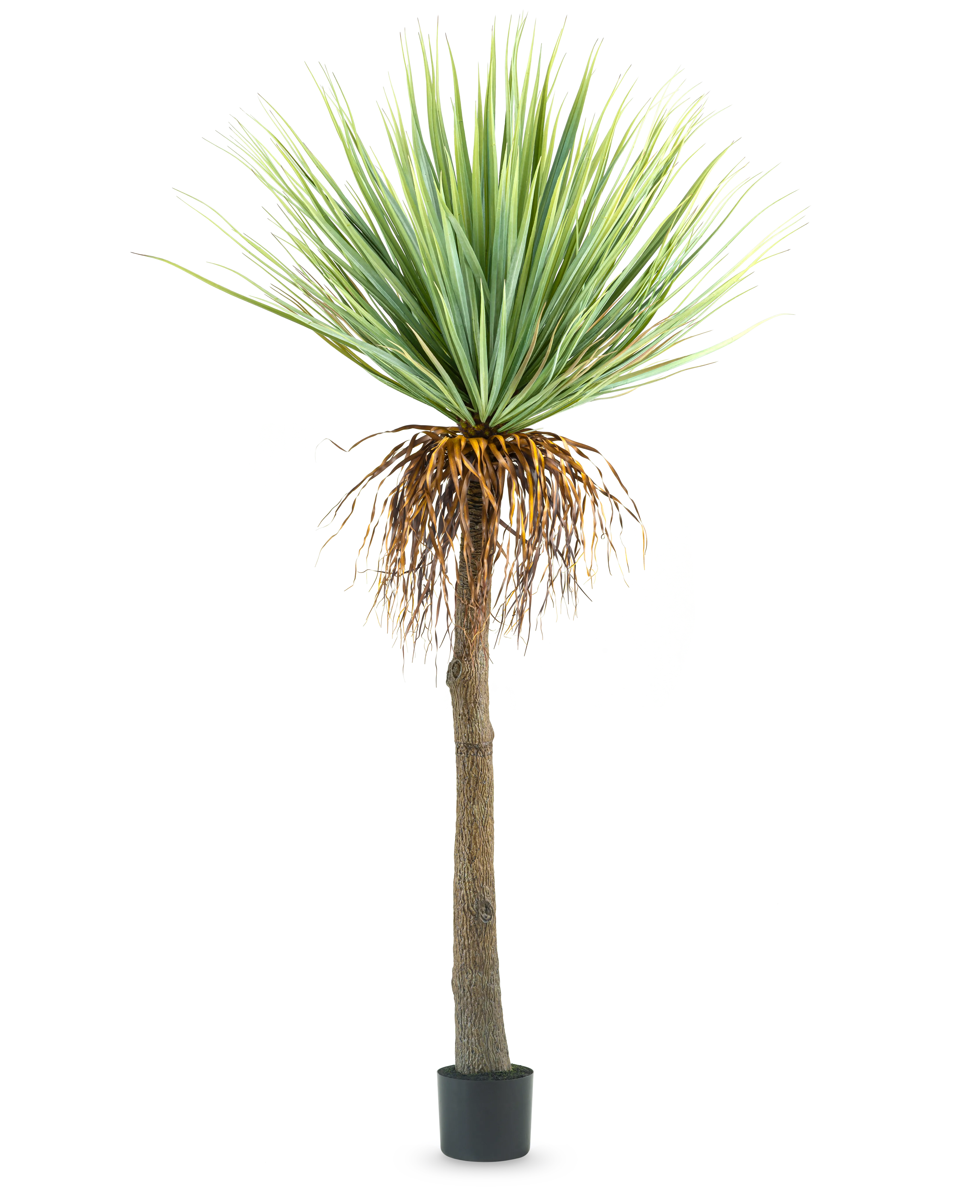Miniatuur 1