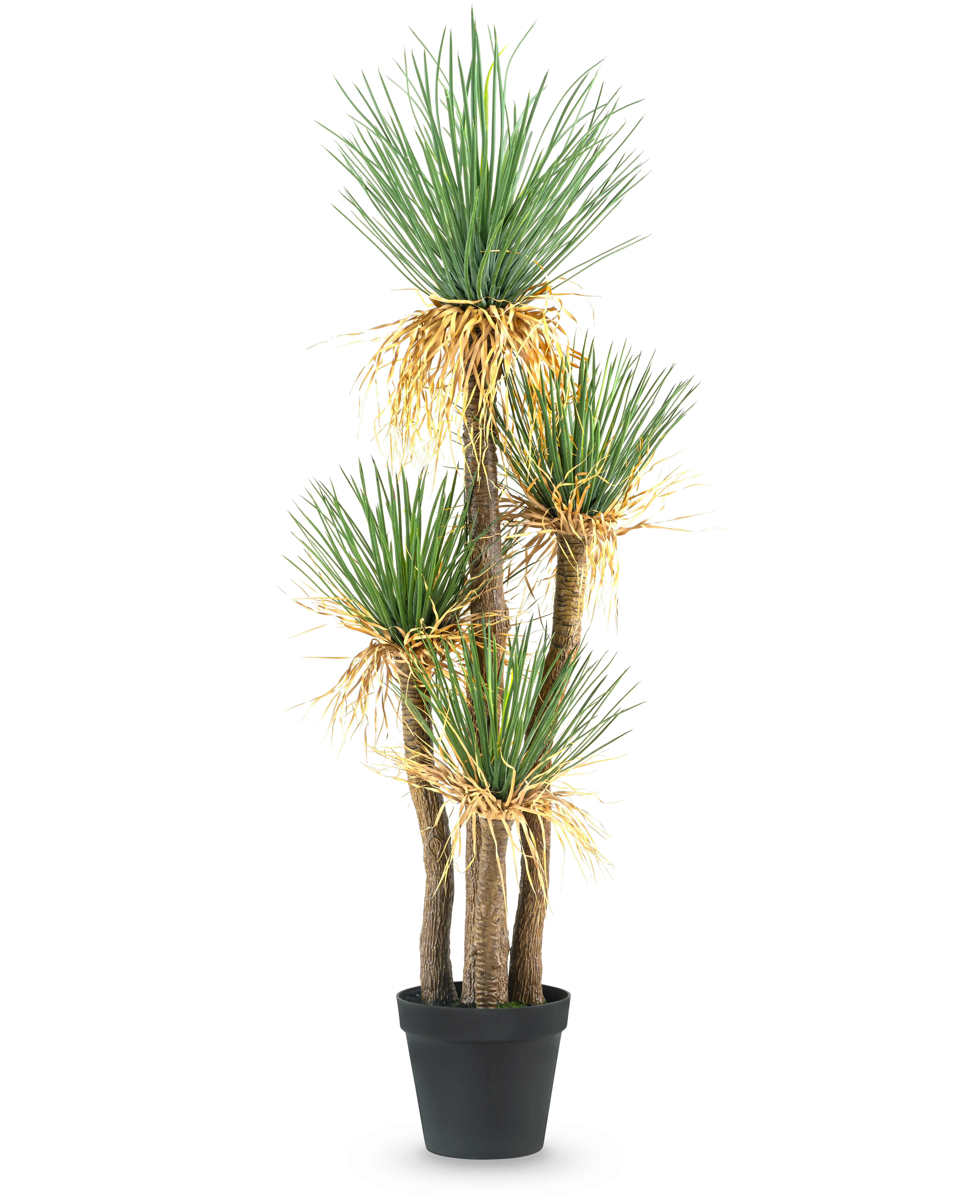 Miniatuur 1