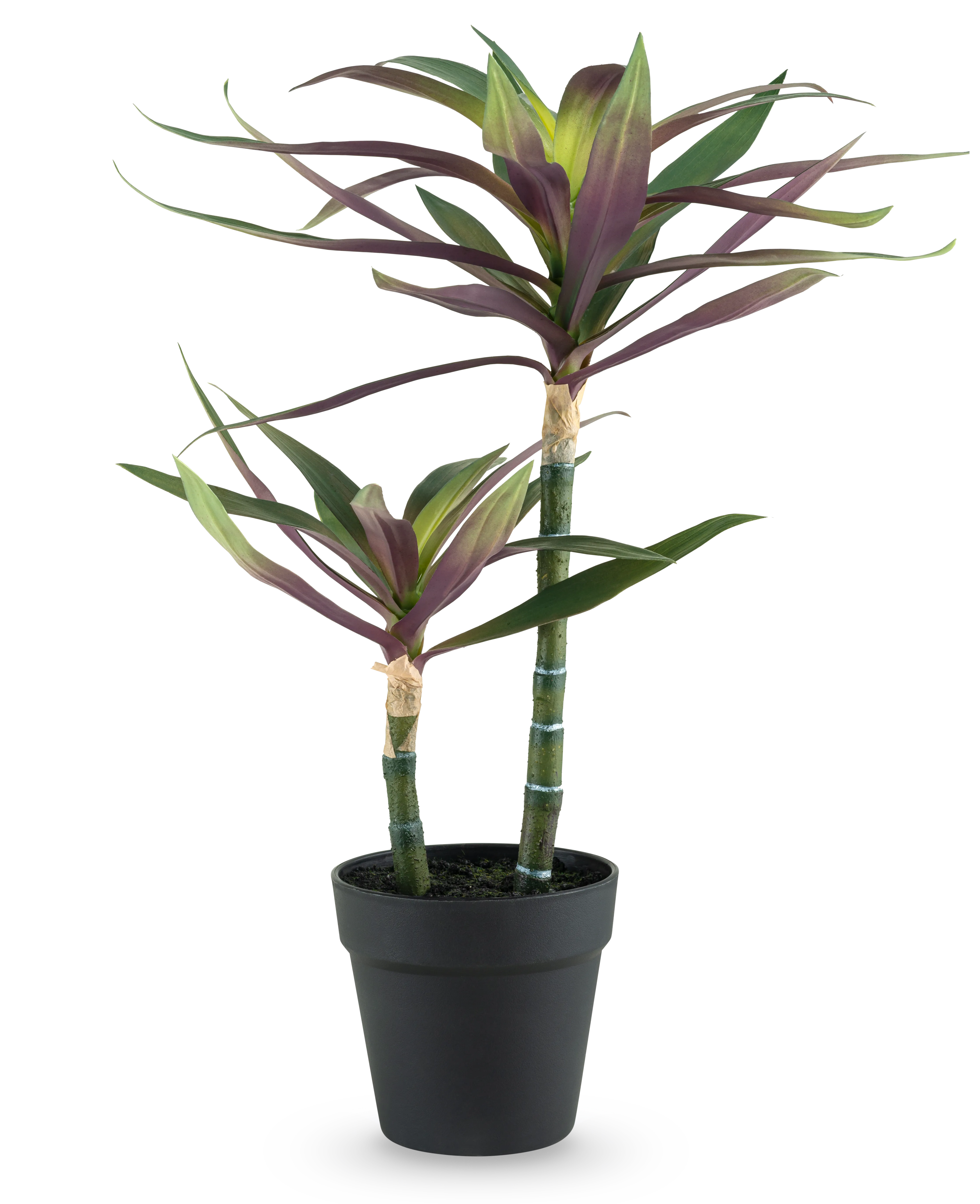 Miniatuur 1