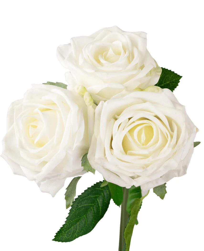 Miniatuur 2
