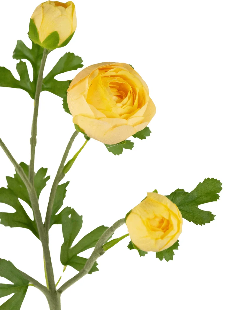 Miniatuur 2