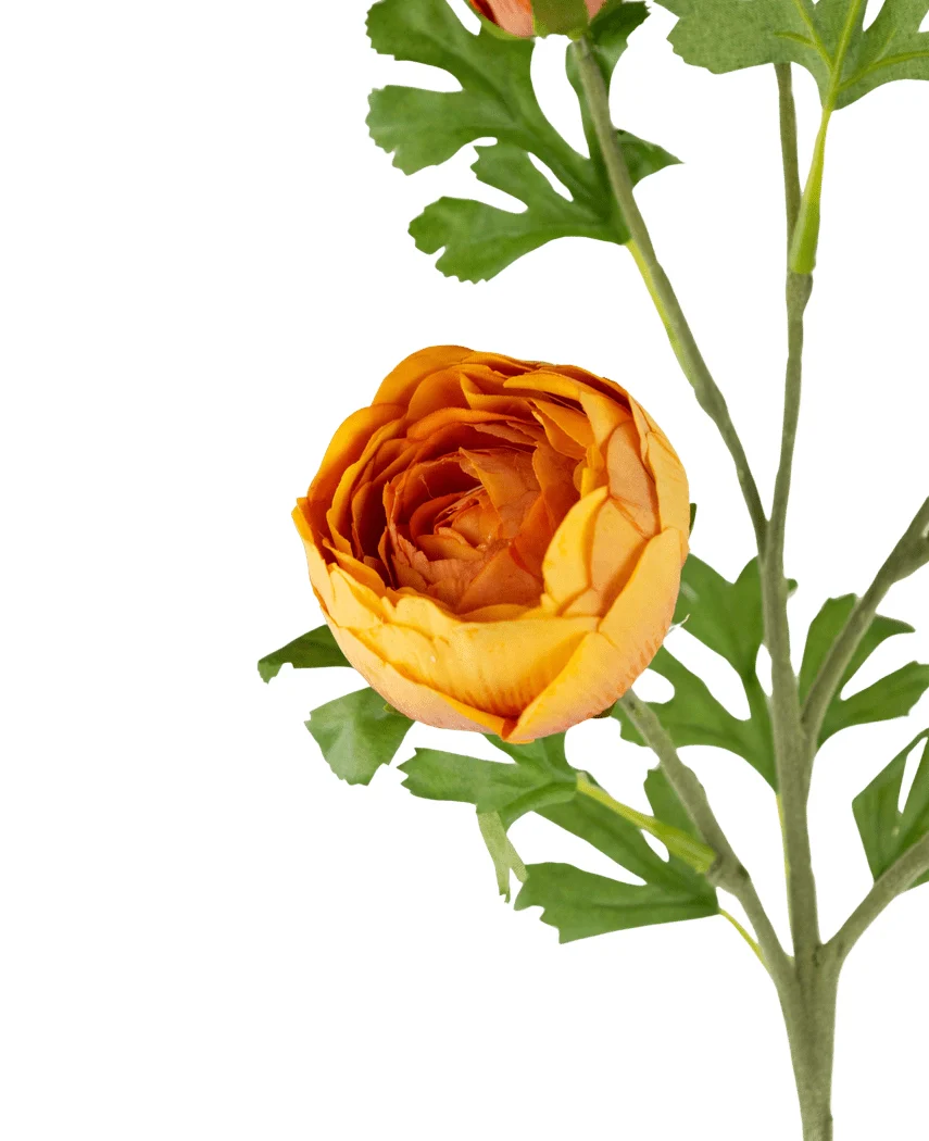 Miniatuur 2